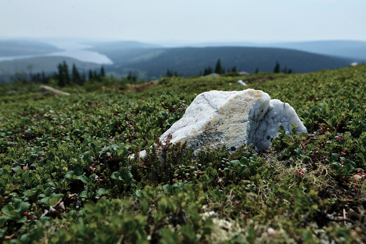 Sustainable Practices