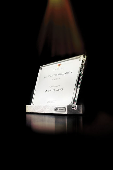 The Dragon Club Award, given to employees that complete 25 years of service at Cambria