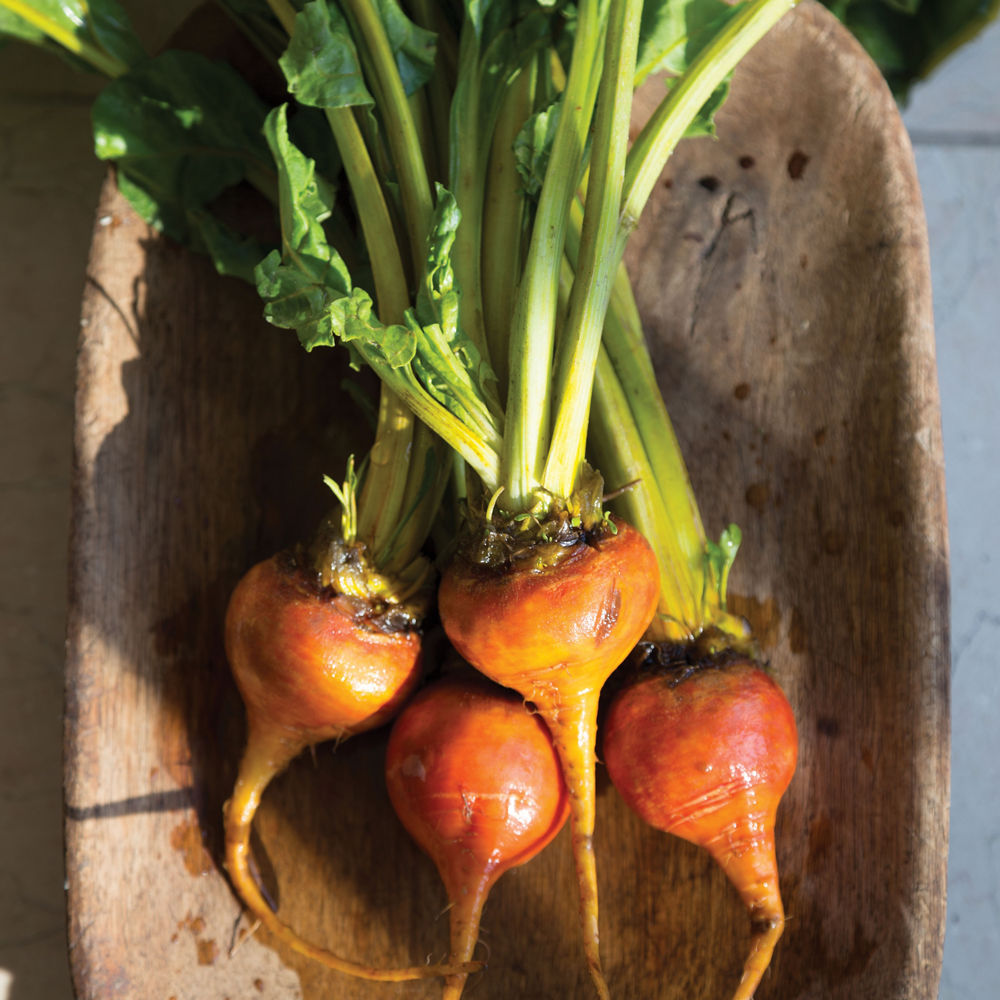 Orange beets.