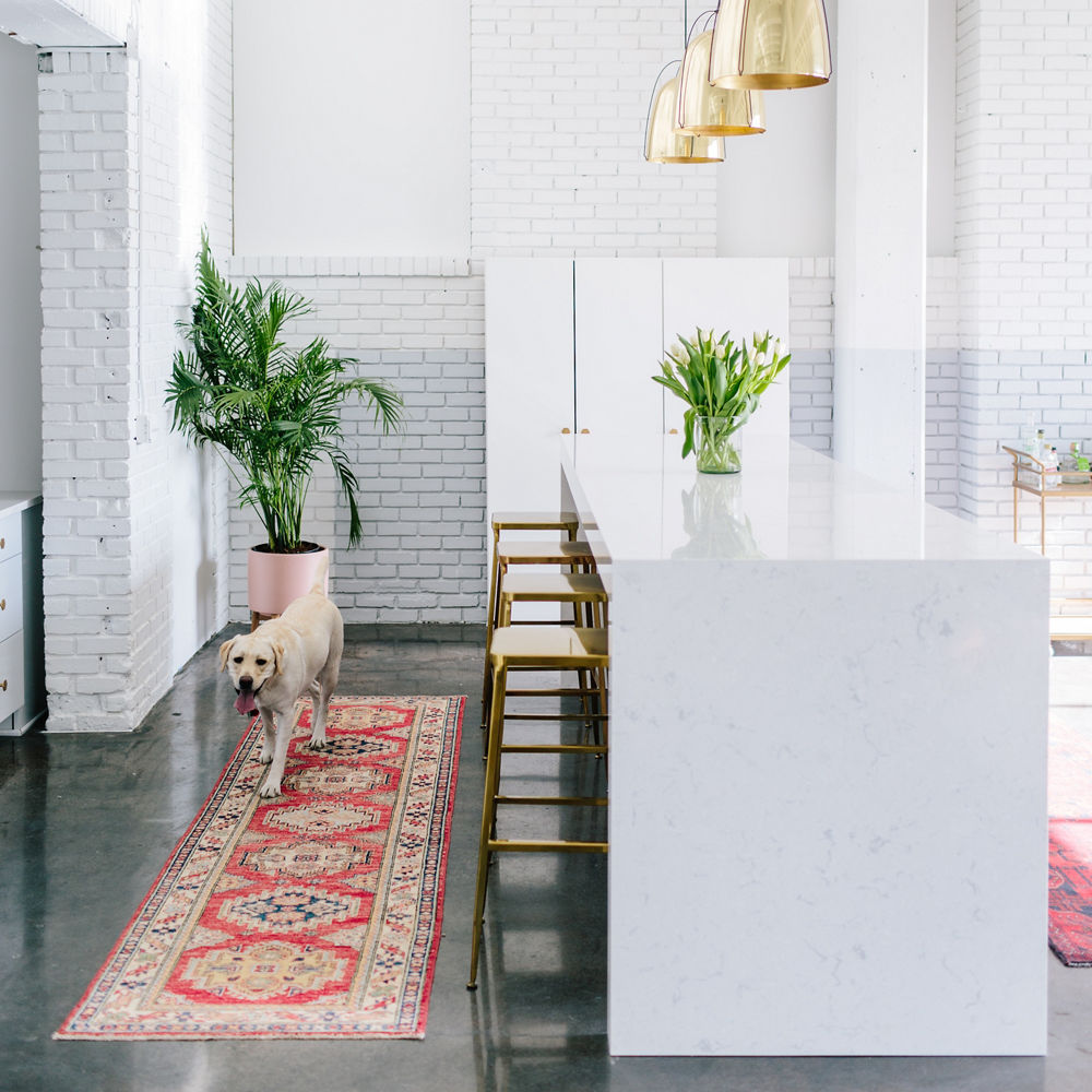 a kitchen with a double-waterfall quartz island, gold barstools, exposed brick, and a dog walking by.
