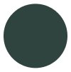 Green color swatch