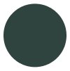 Green color swatch