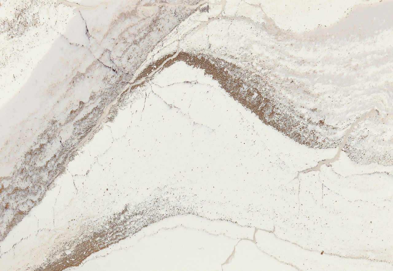Cambria Windsor Brass Satin Ridge quartz slab